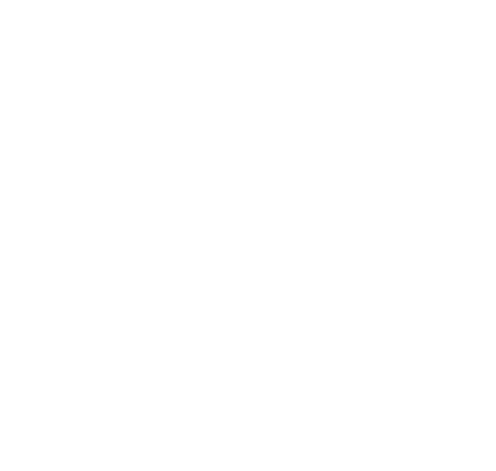 Dora Codes Logo